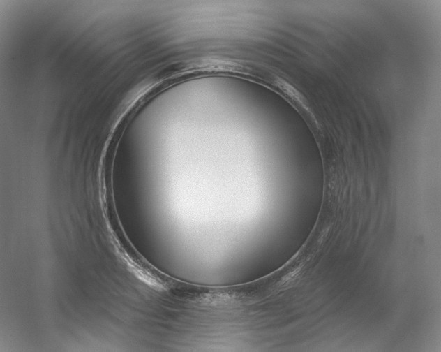 X0000053081082200507251519