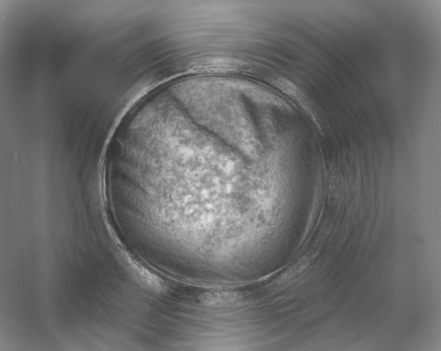 X0000053081083200507251519