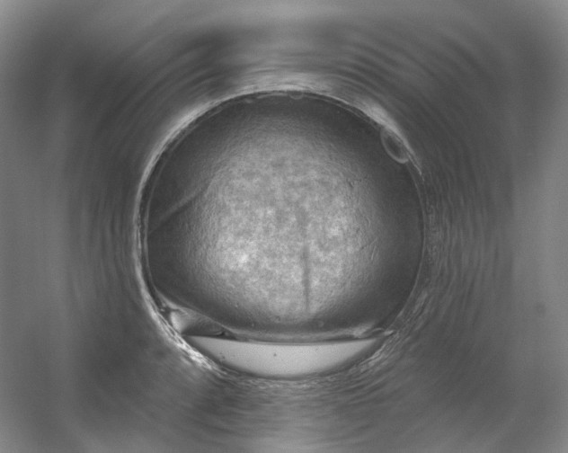 X0000053081088200507251519