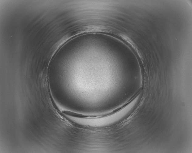X0000053081089200507251519