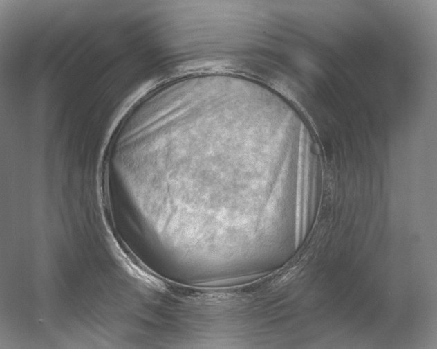 X0000053081090200507251519