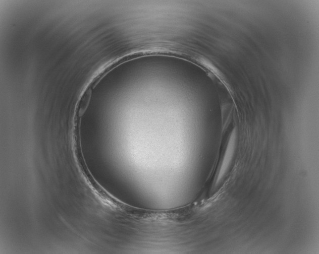 X0000053081093200507251519