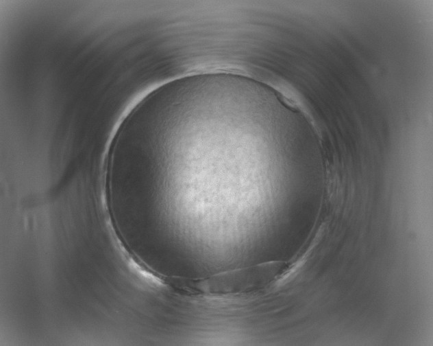 X0000053081102200507251519