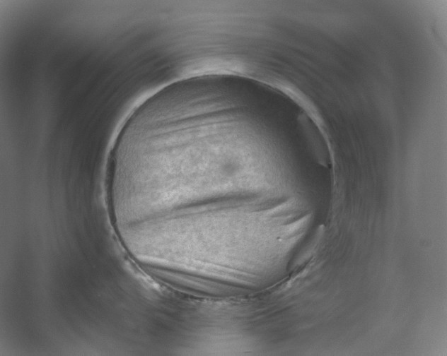 X0000053081104200507251519