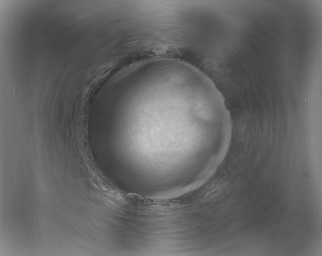X0000053081105200507251518