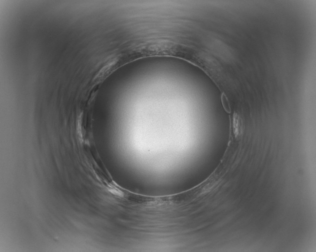 X0000053081107200507251518