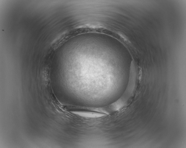 X0000053081110200507251518