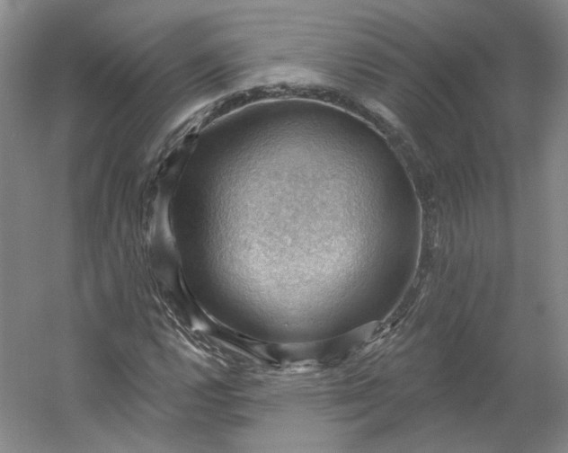 X0000053081112200507251518