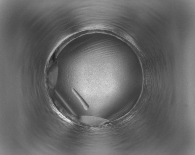 X0000053081116200507251518