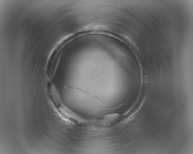 X0000053081117200507251518