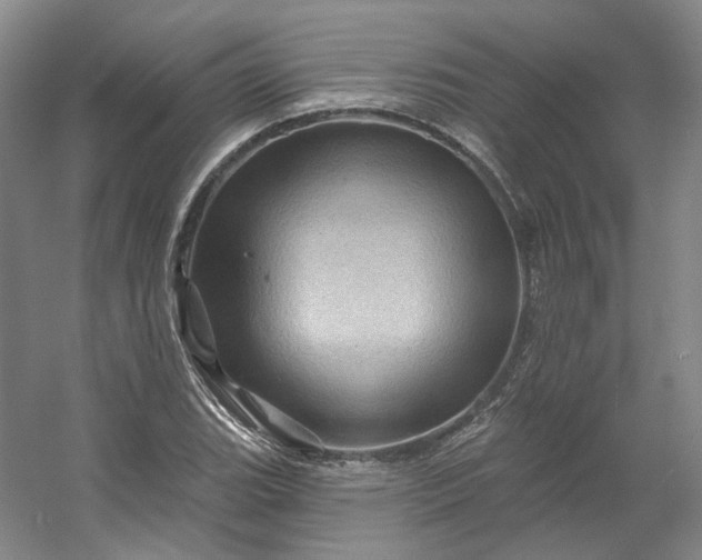 X0000053081119200507251518