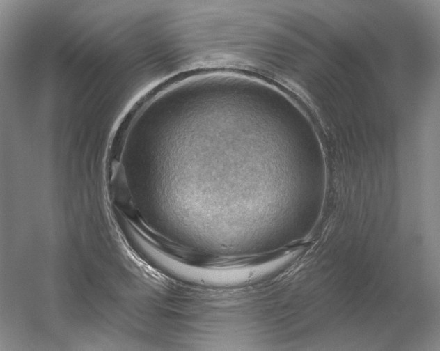 X0000053081120200507251518