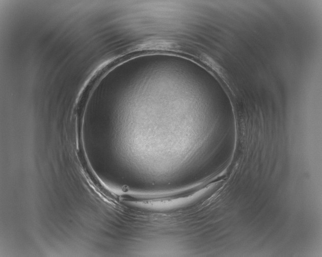 X0000053081123200507251519