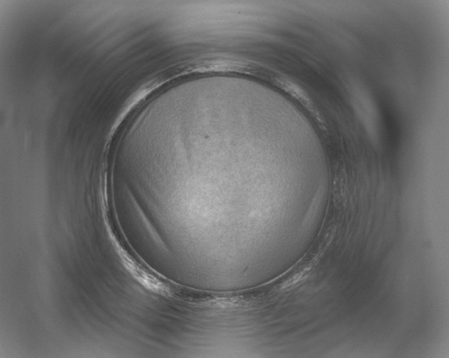 X0000053081130200507251519