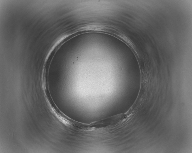 X0000053081131200507251519