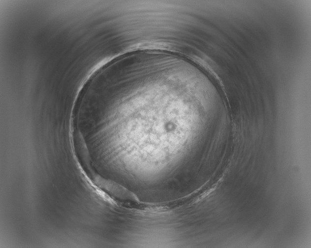 X0000053081133200507251519