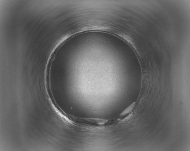 X0000053081135200507251519