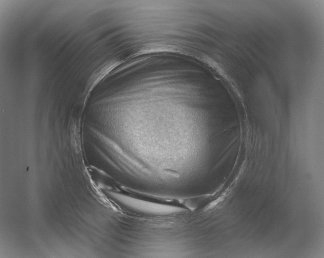 X0000053081137200507251519