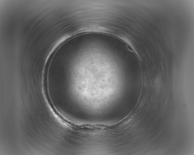 X0000053081139200507251519