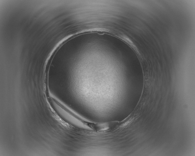 X0000053081140200507251519