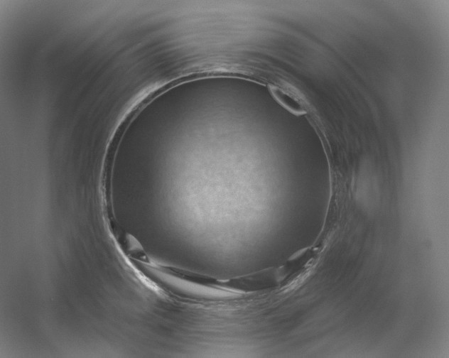 X0000053081141200507251519