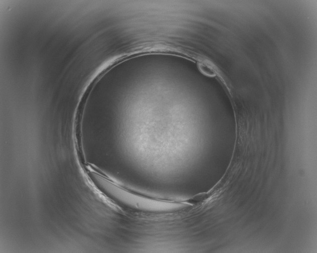 X0000053081142200507251519