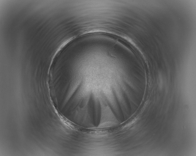 X0000053081145200507251519