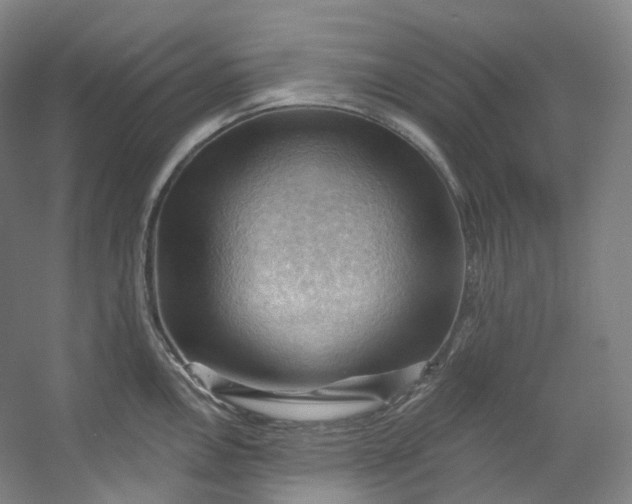 X0000053081146200507251519