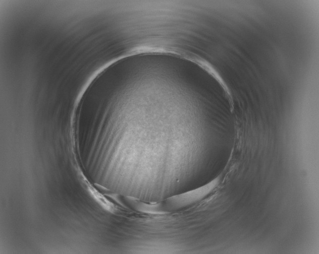 X0000053081148200507251519