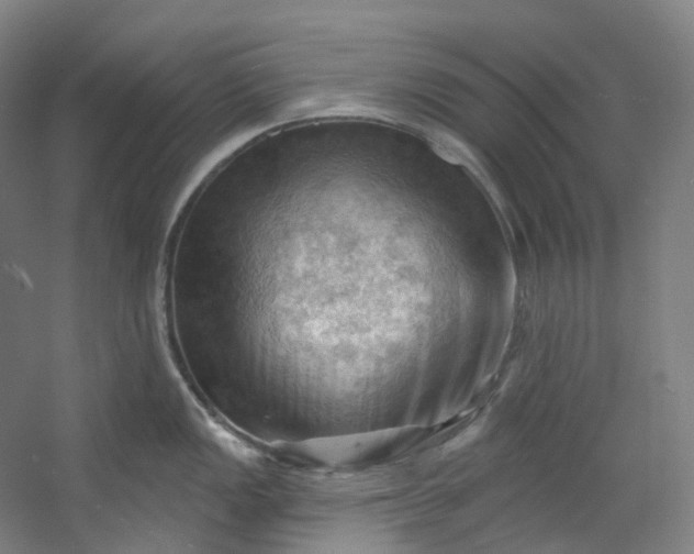 X0000053081149200507251519
