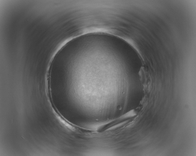 X0000053081151200507251519