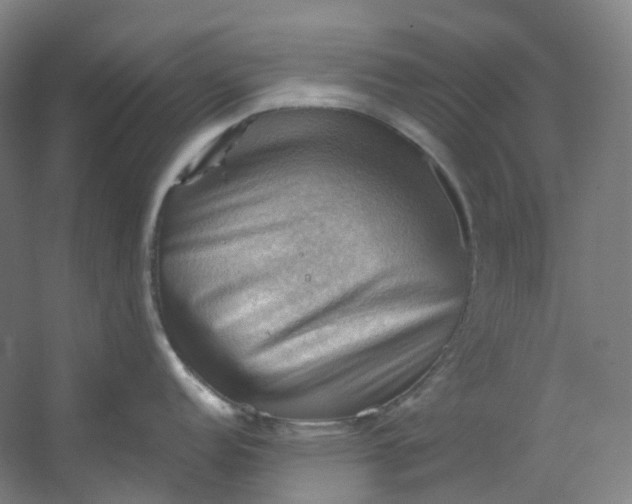 X0000053081152200507251519