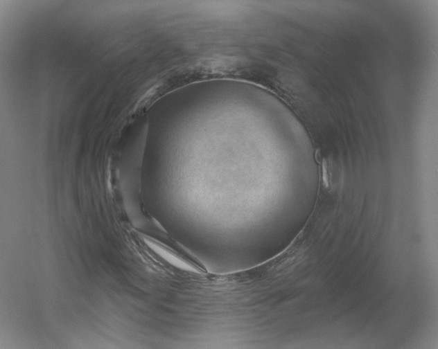 X0000053081155200507251518