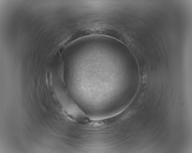 X0000053081156200507251518