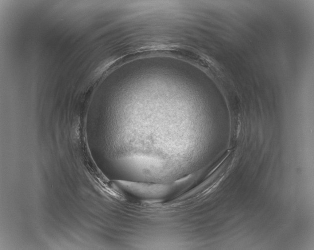 X0000053081161200507251518