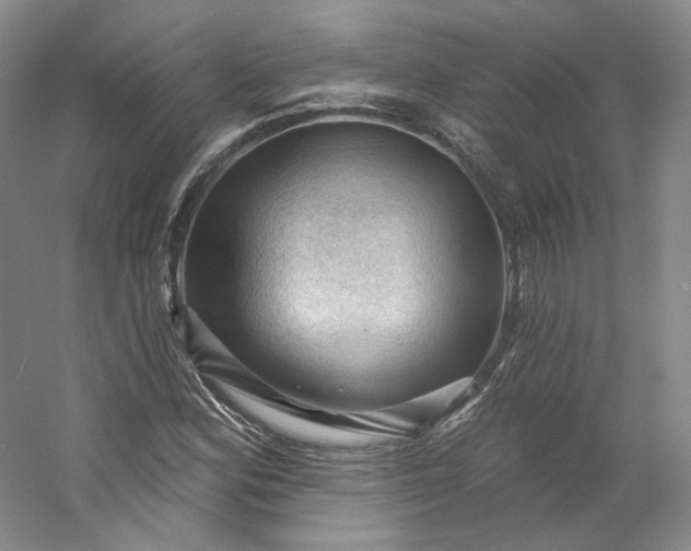 X0000053081164200507251518