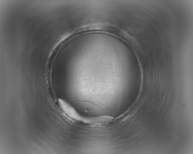 X0000053081166200507251518