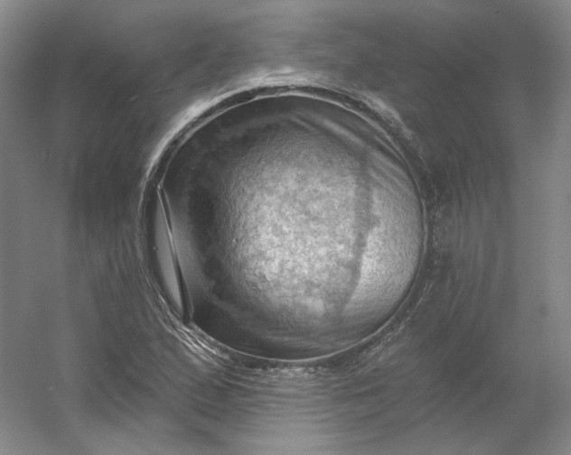 X0000053081167200507251518