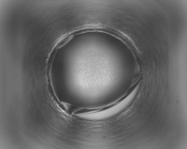 X0000053081168200507251518