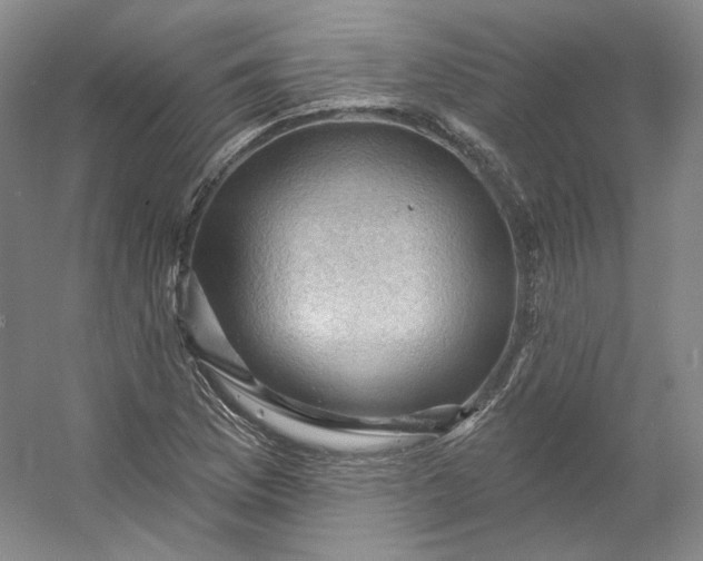 X0000053081169200507251518