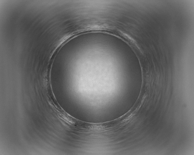 X0000053081170200507251518
