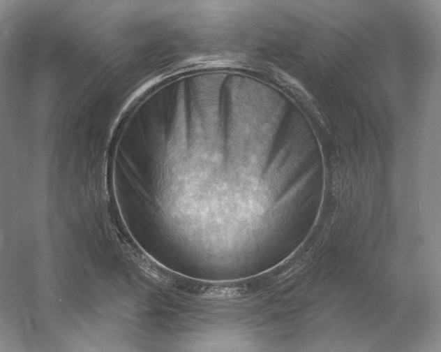 X0000053081174200507251518