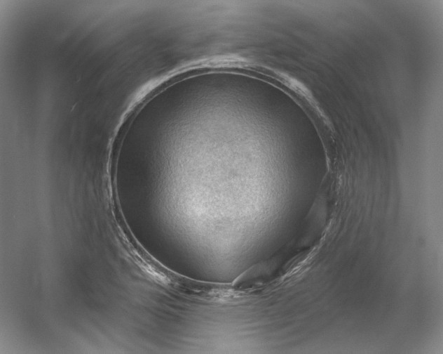 X0000053081176200507251518