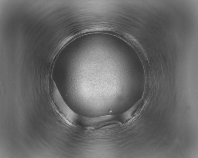 X0000053081177200507251518
