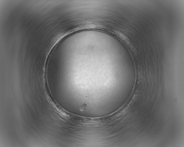 X0000053081178200507251518