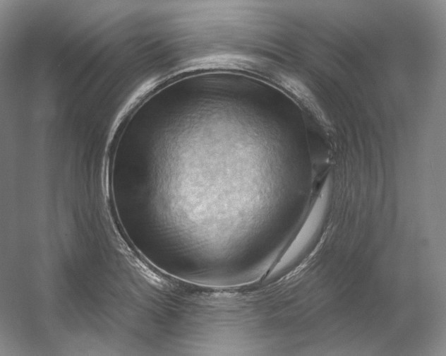 X0000053081180200507251518