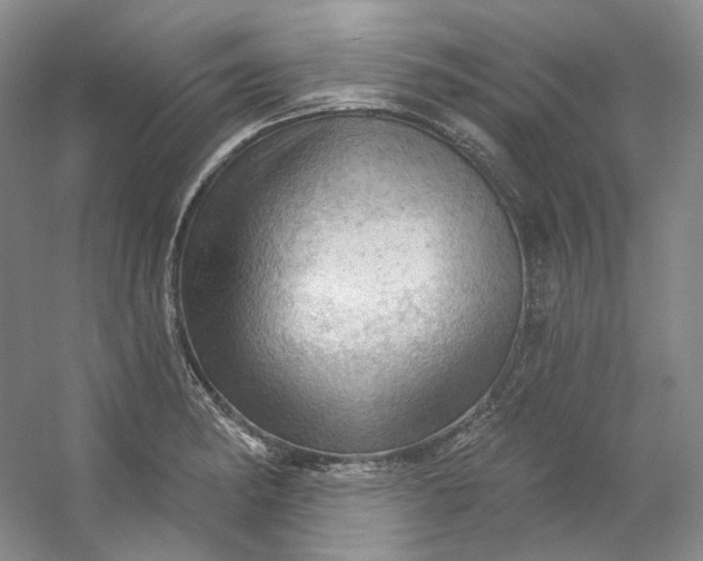X0000053081182200507251518