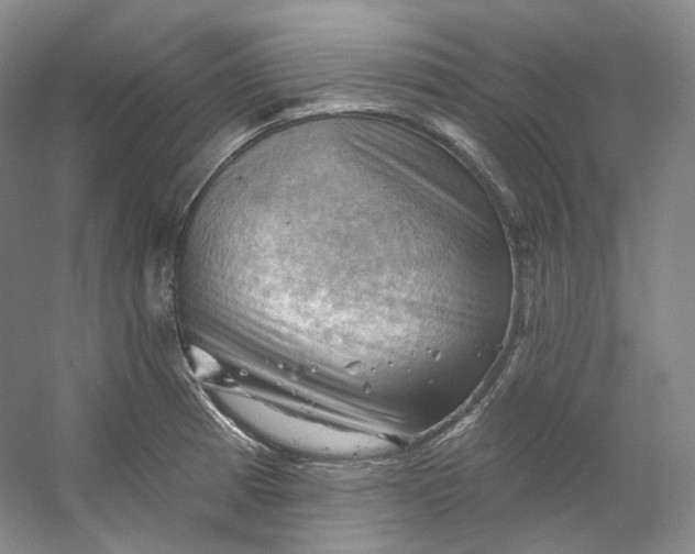 X0000053081185200507251518