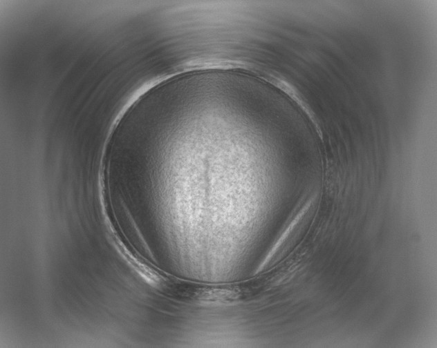 X0000053081187200507251518