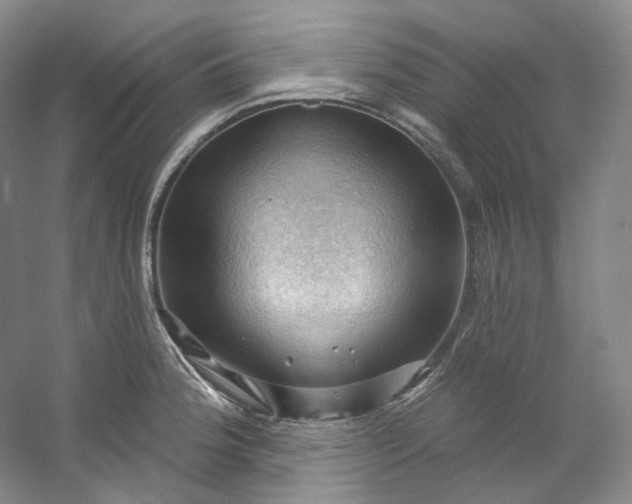 X0000053081188200507251518